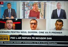 Stelian Negrea : Mercenarul Potra are profilul unui protejat al anumitor servicii secrete din Romania